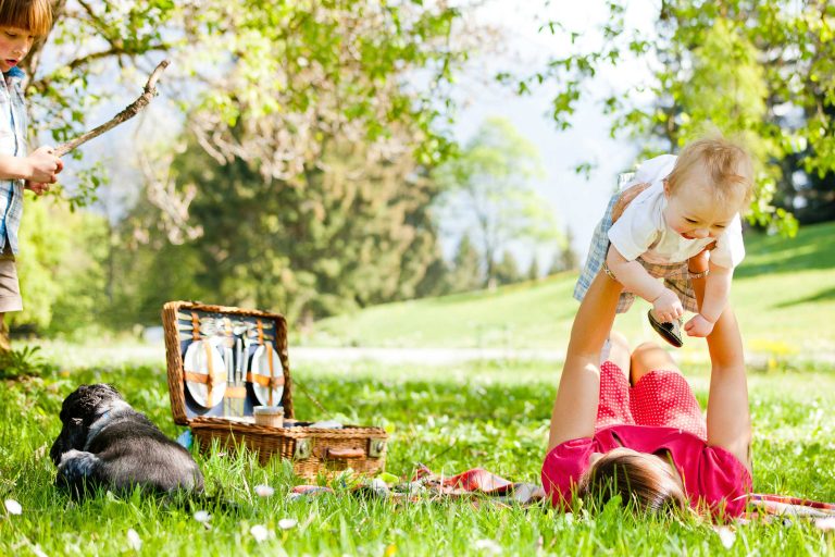 Family picnic