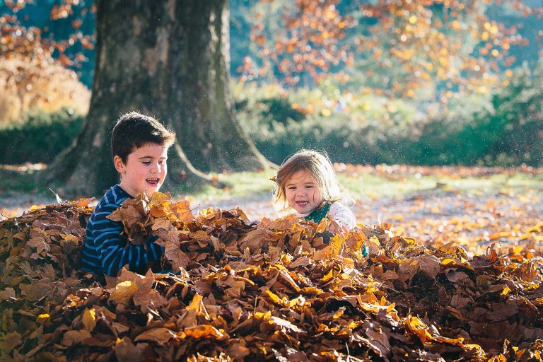 Children play in the leaves